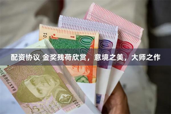 配资协议 金奖残荷欣赏，意境之美，大师之作