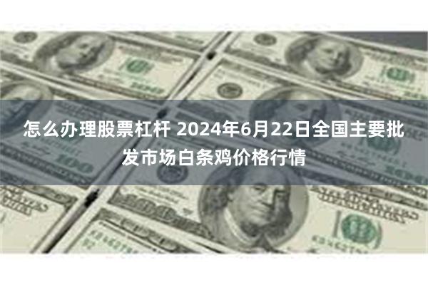 怎么办理股票杠杆 2024年6月22日全国主要批发市场白条鸡价格行情