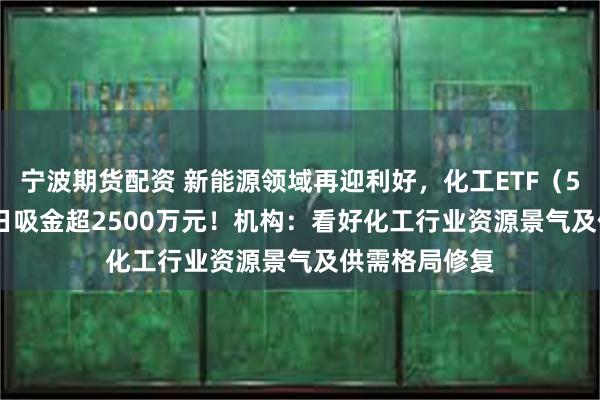 宁波期货配资 新能源领域再迎利好，化工ETF（516020）20日吸金超2500万元！机构：看好化工行业资源景气及供需格局修复