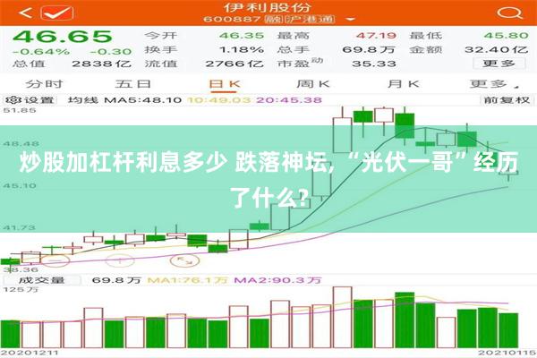 炒股加杠杆利息多少 跌落神坛, “光伏一哥”经历了什么?