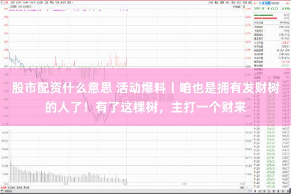 股市配资什么意思 活动爆料丨咱也是拥有发财树的人了！有了这棵树，主打一个财来