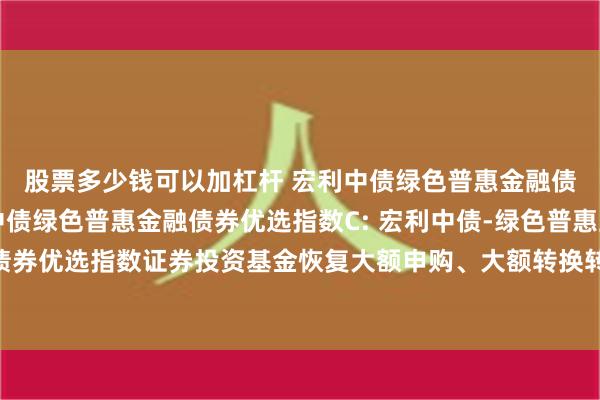 股票多少钱可以加杠杆 宏利中债绿色普惠金融债券优选指数A,宏利中债绿色普惠金融债券优选指数C: 宏利中债-绿色普惠主题金融债券优选指数证券投资基金恢复大额申购、大额转换转入及大额定期定额投资业务的公告