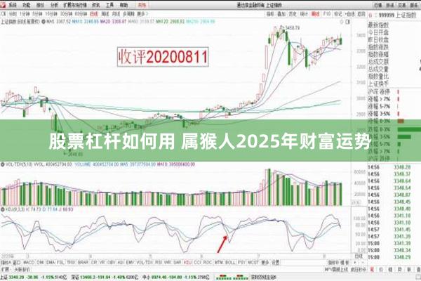 股票杠杆如何用 属猴人2025年财富运势