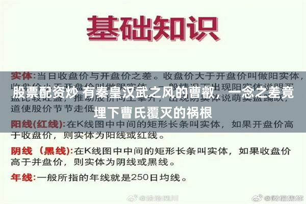 股票配资炒 有秦皇汉武之风的曹叡，一念之差竟埋下曹氏覆灭的祸根